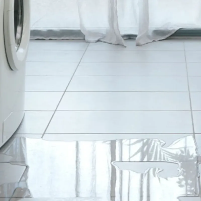 Appliance Leak Cleanup in Logan Square, IL
