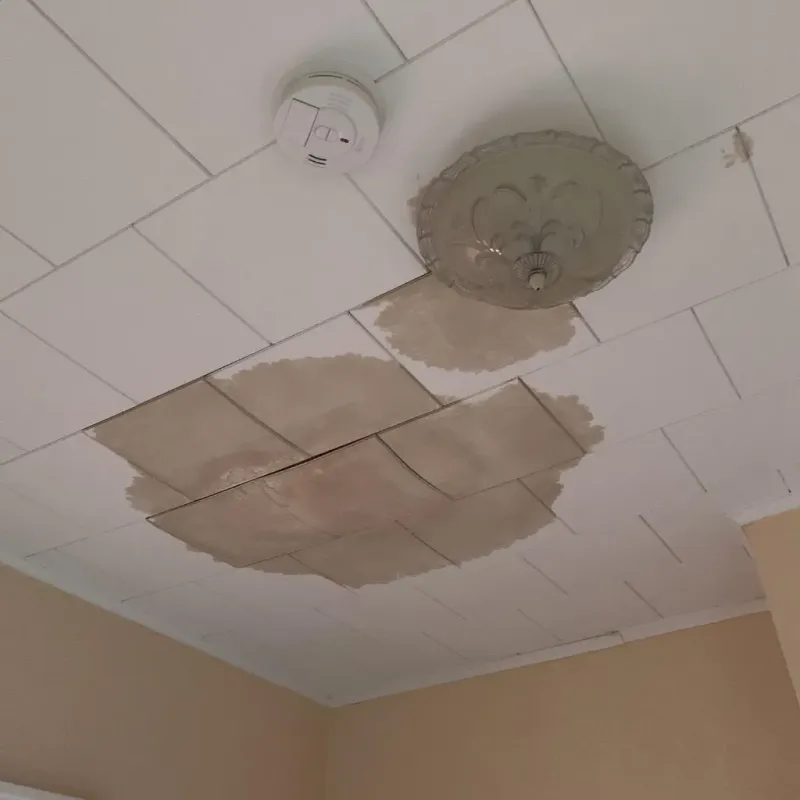 Ceiling Water Damage Repair in Logan Square, IL