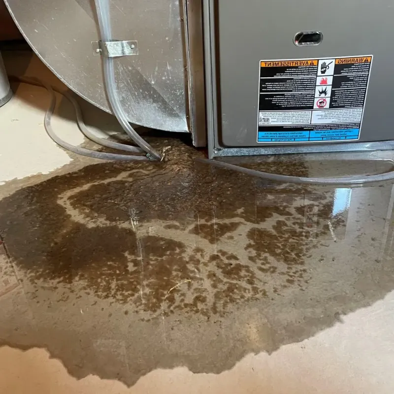 Pipe Burst and Leak Restoration in Logan Square, IL